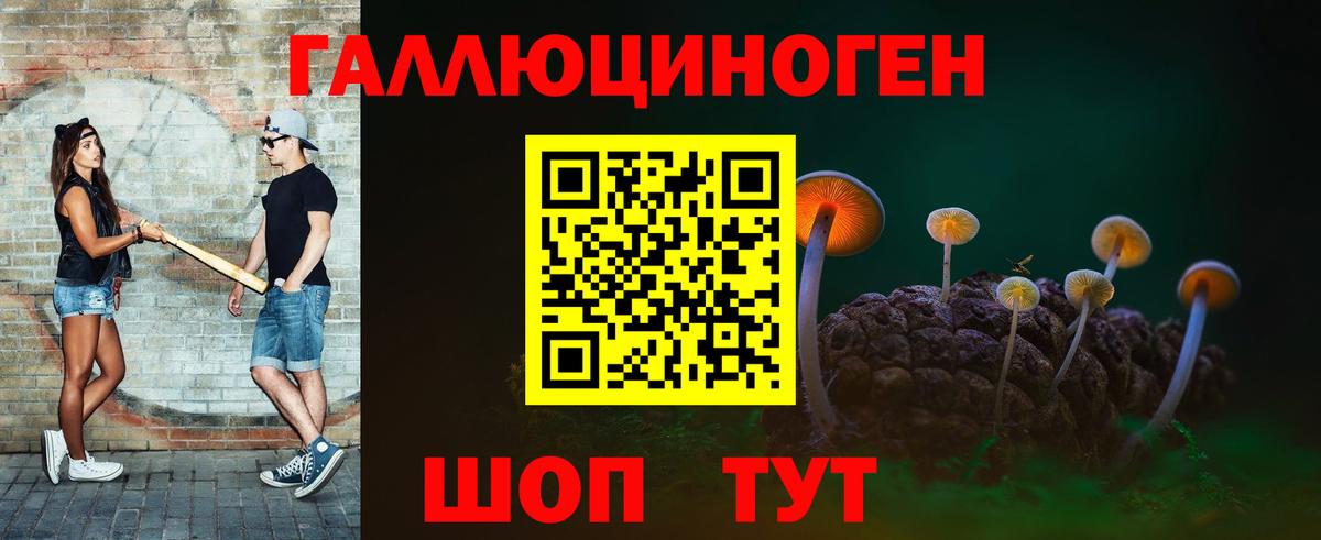 Волгоград  Галлюциногенные грибы GOLDEN TEACHER  Вход с VPN 